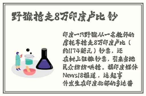 韩国专线一线二线丫头免费完整